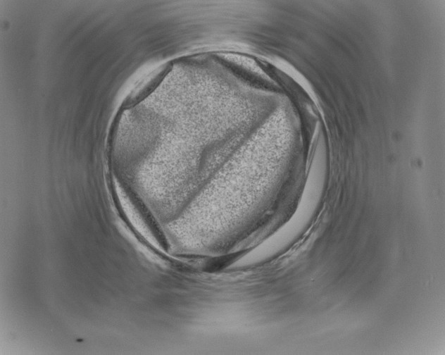 X0000071781005200607282233