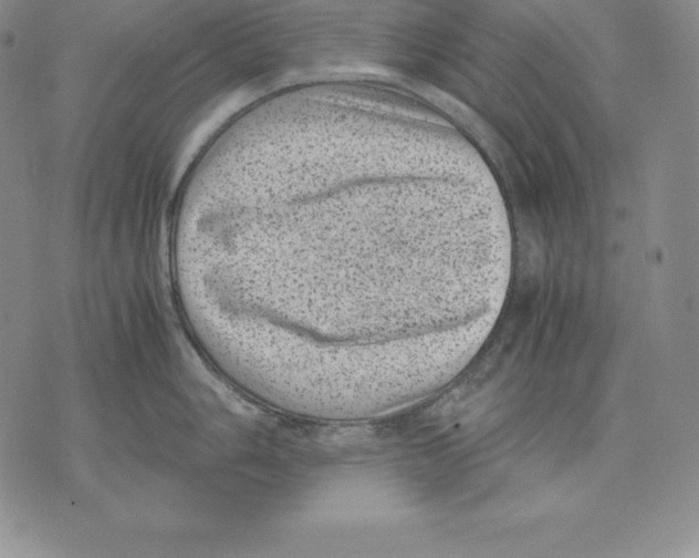 X0000071781006200607282233