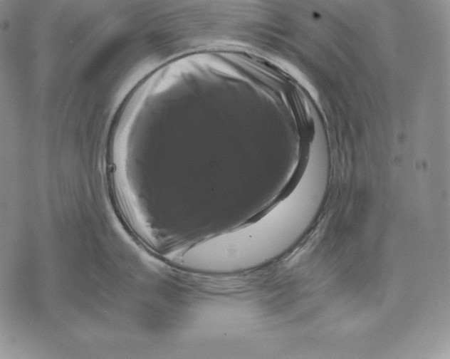 X0000071781007200607282233