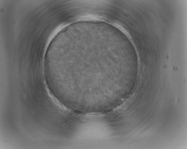 X0000071781008200607282233