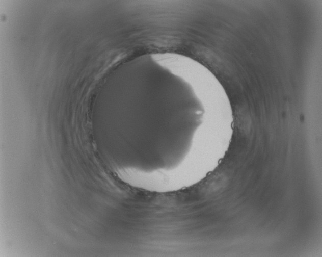 X0000071781009200607282232