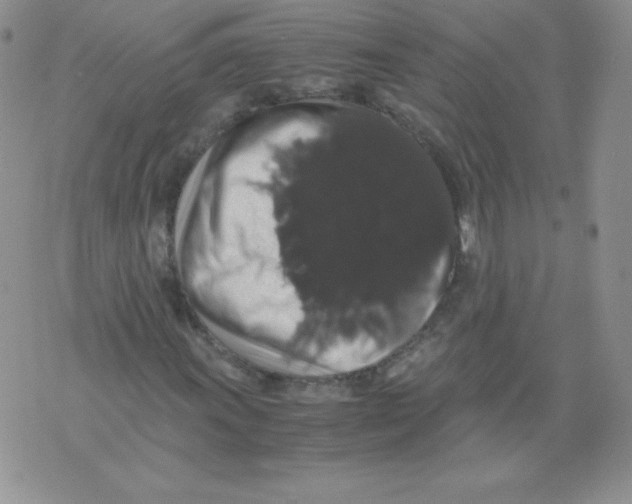 X0000071781011200607282232