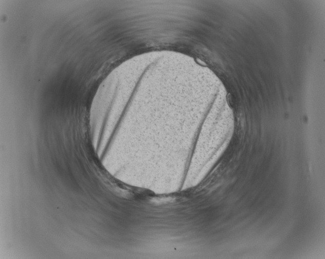 X0000071781012200607282232