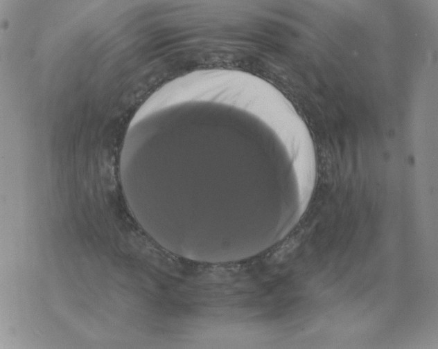 X0000071781013200607282232