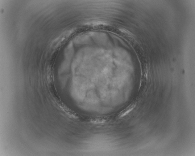 X0000071781014200607282232