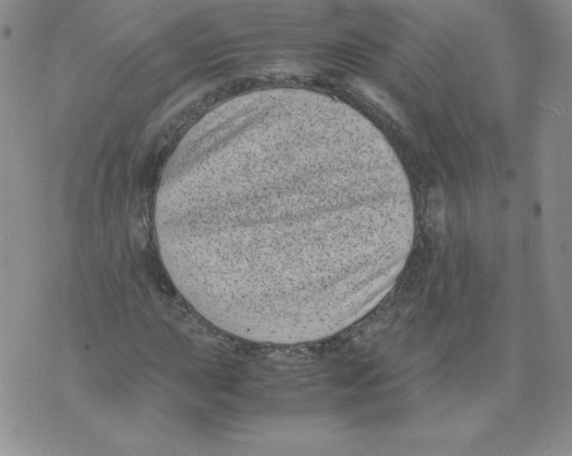 X0000071781015200607282232