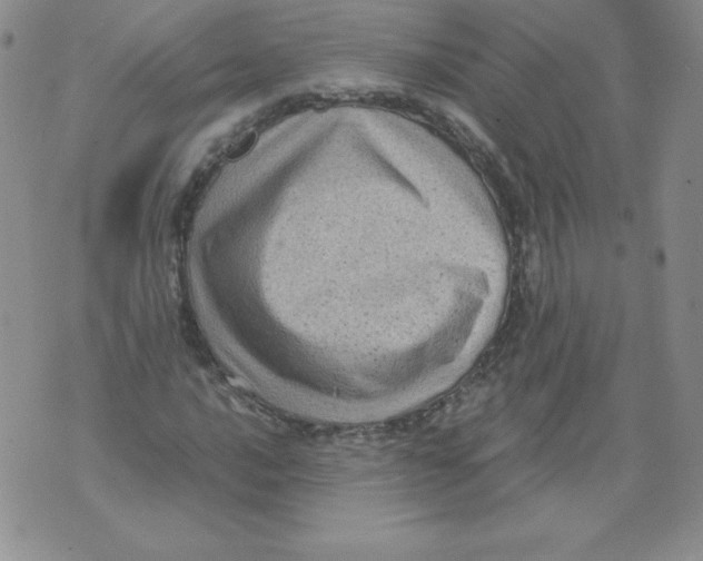 X0000071781016200607282233