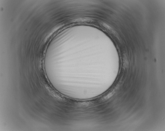 X0000071781017200607282233