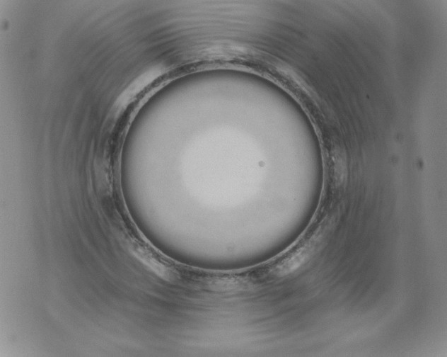 X0000071781018200607282233