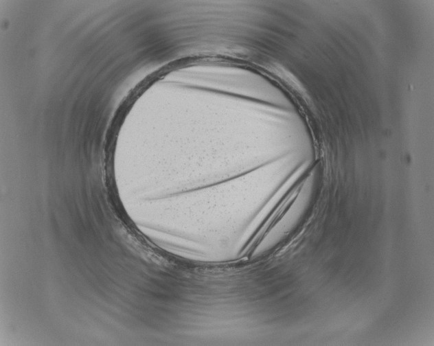 X0000071781020200607282233