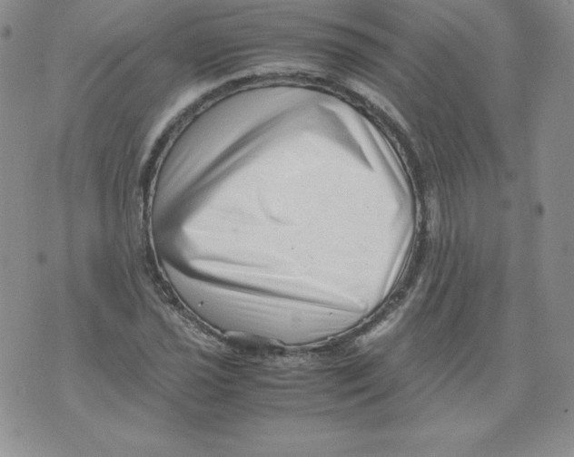 X0000071781021200607282233