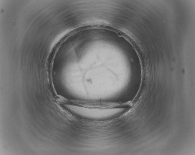 X0000071781022200607282233