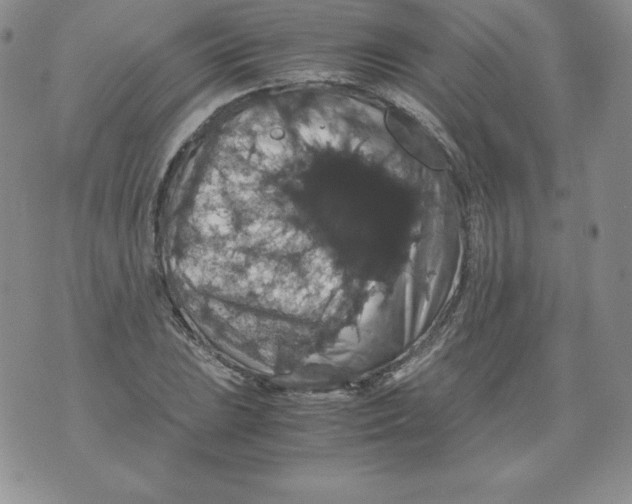 X0000071781023200607282233