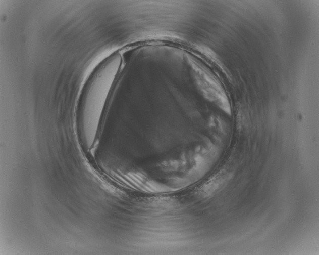 X0000071781024200607282233