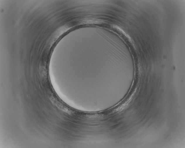 X0000071781025200607282233