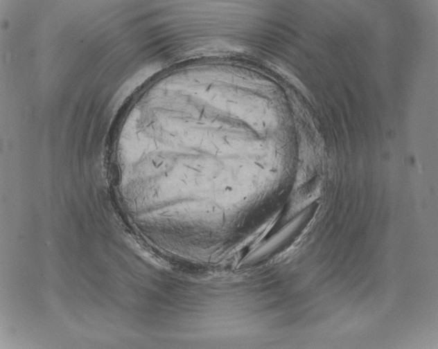 X0000071781026200607282233