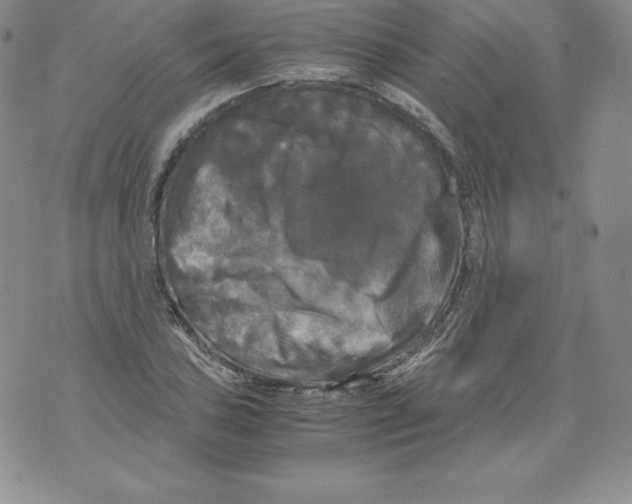 X0000071781027200607282233