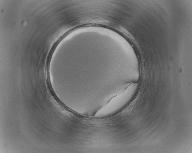 X0000071781028200607282233