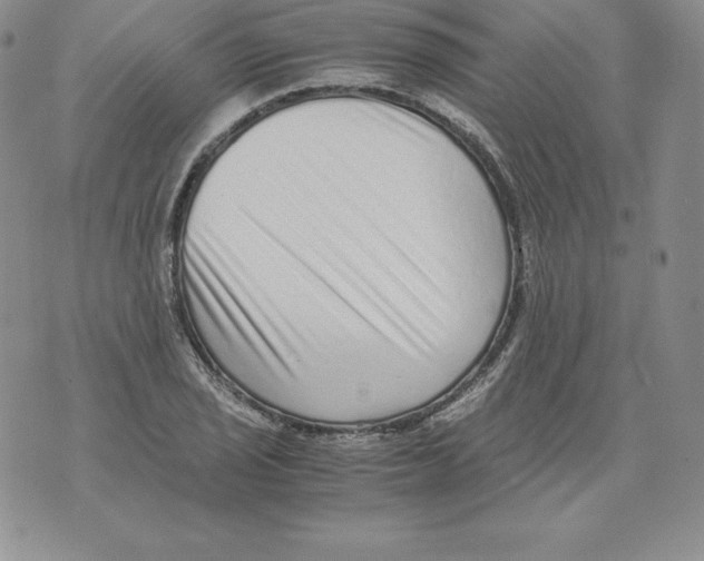 X0000071781029200607282233