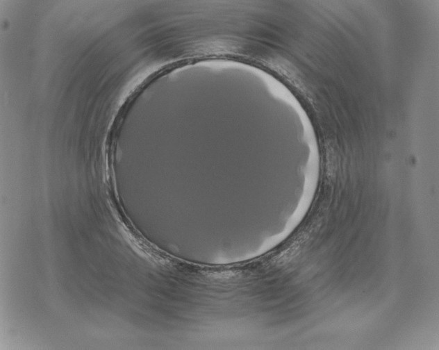 X0000071781031200607282233