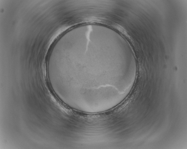 X0000071781032200607282233