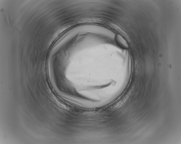 X0000071781033200607282233