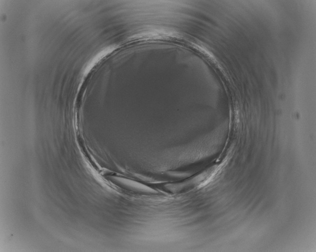 X0000071781034200607282233