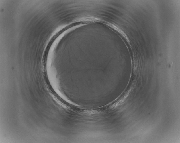 X0000071781037200607282233