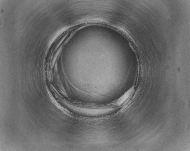 X0000071781038200607282233