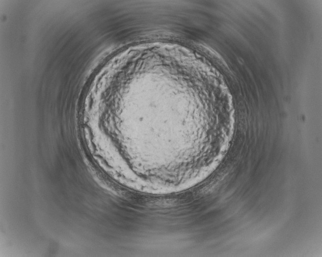 X0000071781039200607282233