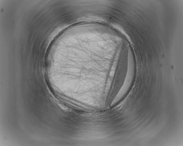 X0000071781040200607282233