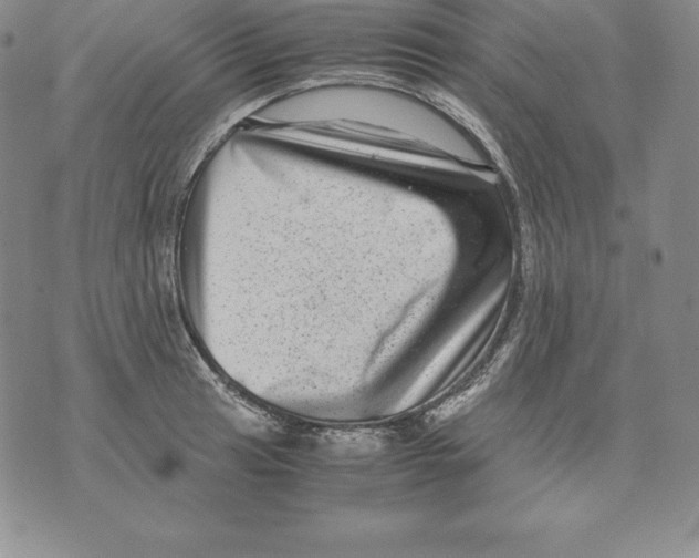 X0000071781041200607282233