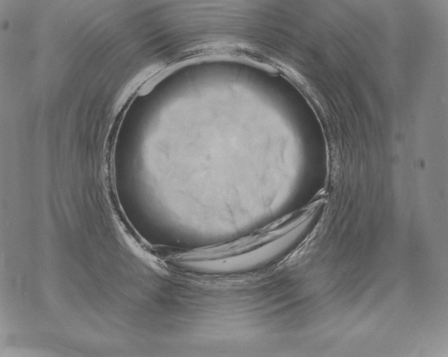 X0000071781042200607282233