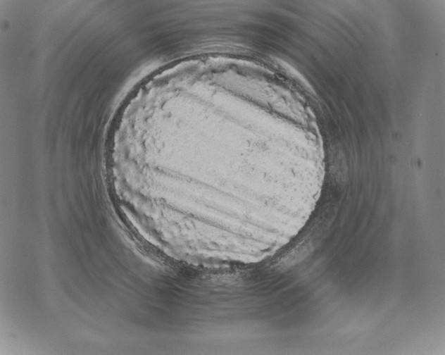 X0000071781043200607282233