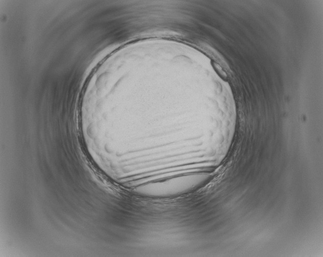 X0000071781044200607282233