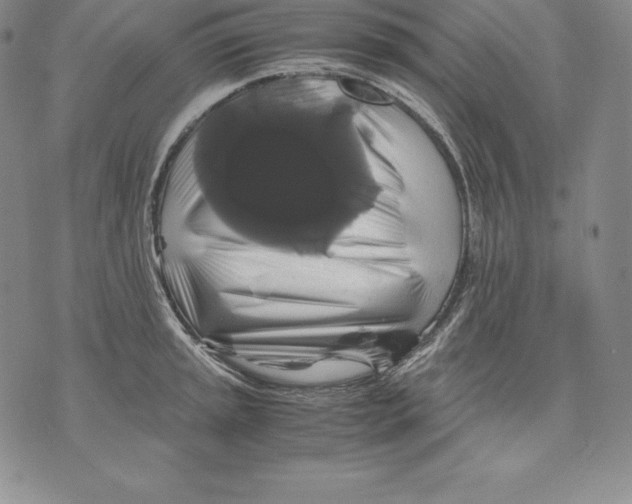 X0000071781045200607282233