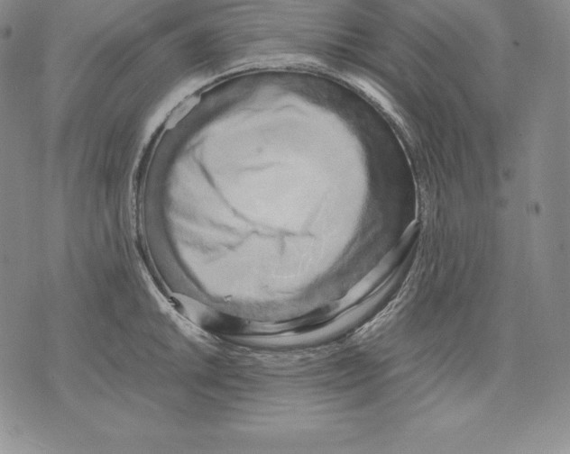 X0000071781046200607282233