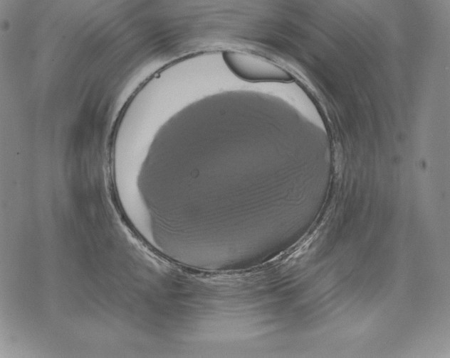 X0000071781048200607282233