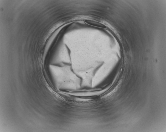 X0000071781049200607282233