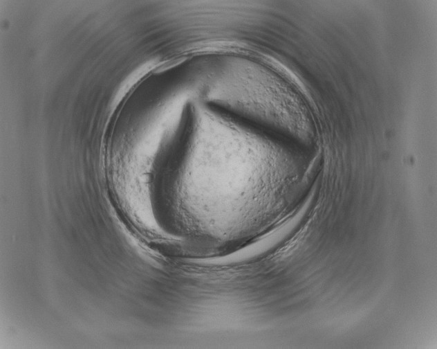 X0000071781050200607282233