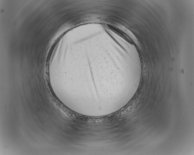 X0000071781051200607282233