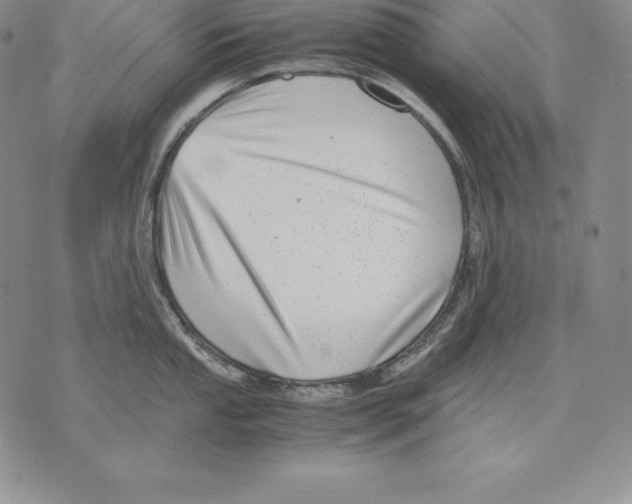 X0000071781053200607282233