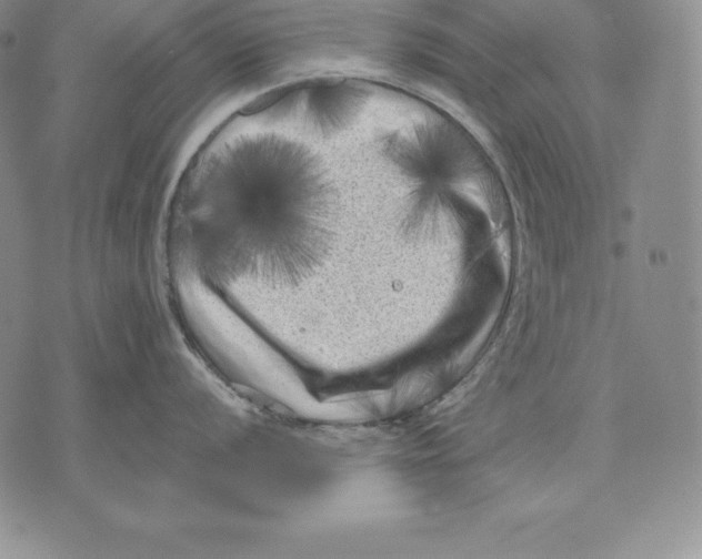 X0000071781056200607282233