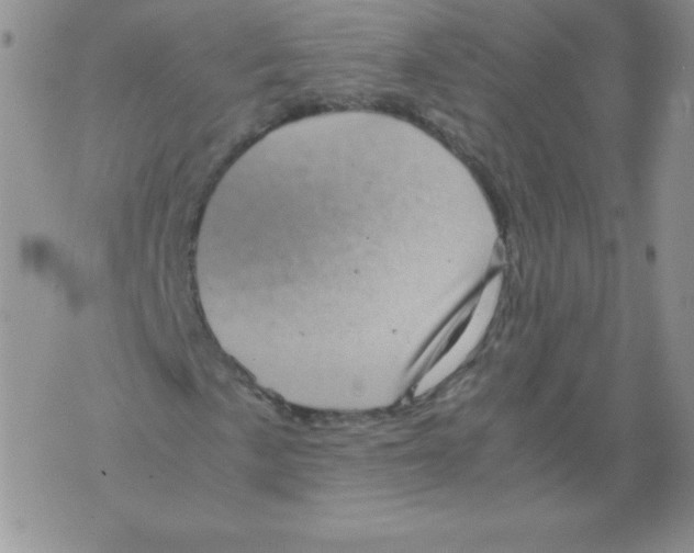 X0000071781057200607282232