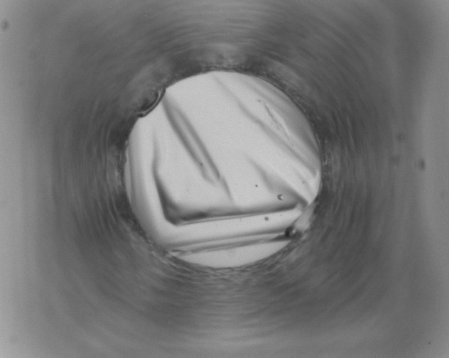 X0000071781058200607282232