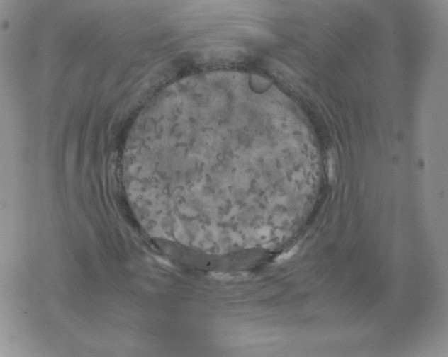 X0000071781059200607282232