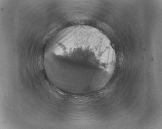 X0000071781060200607282232