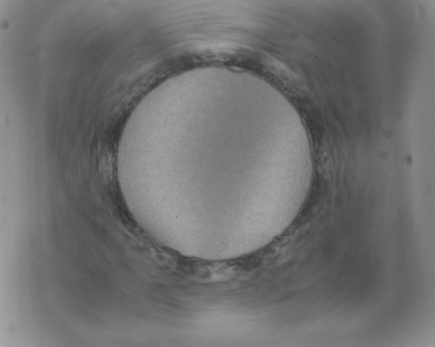 X0000071781061200607282232