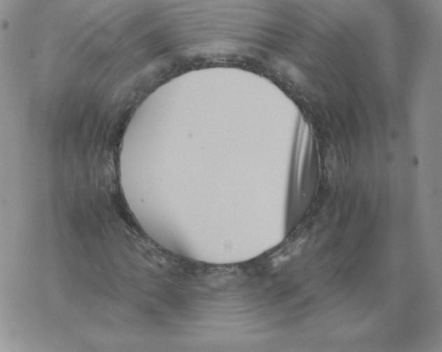 X0000071781062200607282232