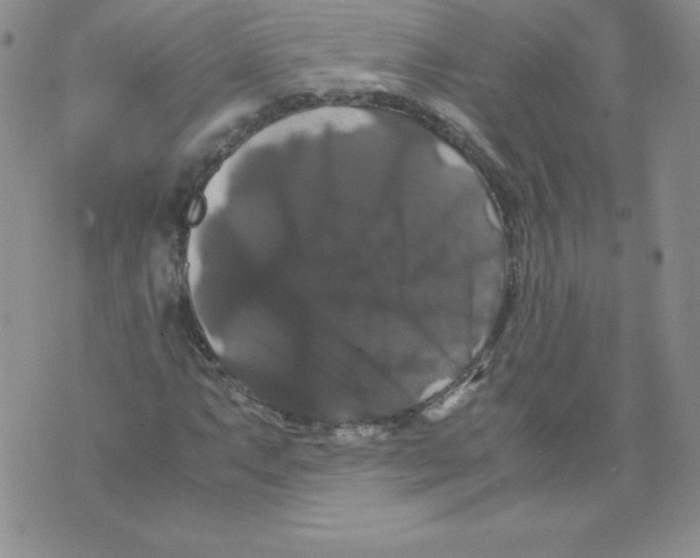 X0000071781063200607282232